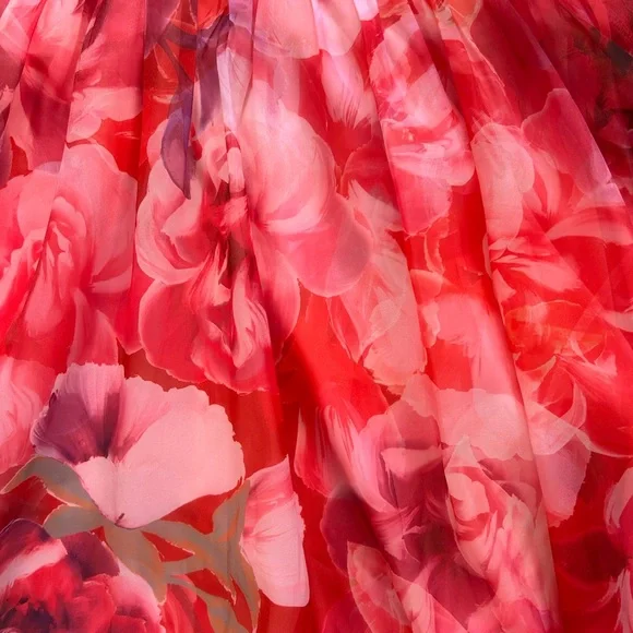 Floral Print Pink & Red Puff Sleeve Pleated Bodice Babydoll Dress - Picture 8 of 8